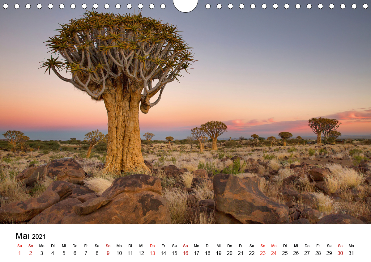 Bäume in Namibias Landschaften - CALVENDO