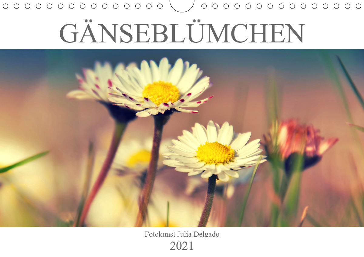 Gänseblümchen Poesie CALVENDO