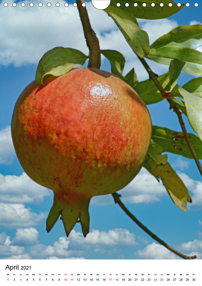 Früchte Israels CALVENDO Früchte Israels CALVENDO