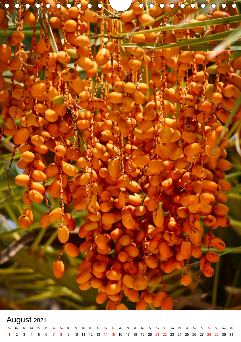 Früchte Israels CALVENDO Früchte Israels CALVENDO