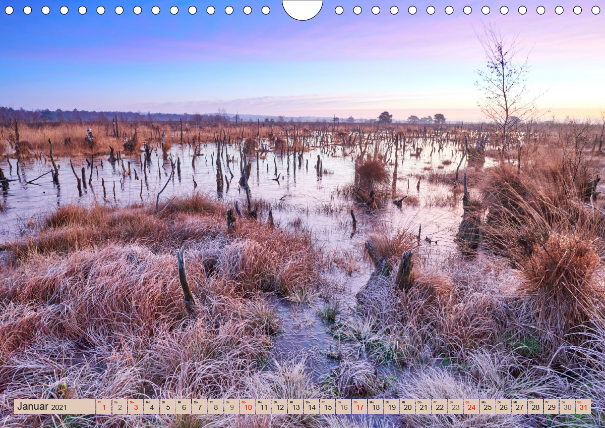 Deutschlands Moore CALVENDO