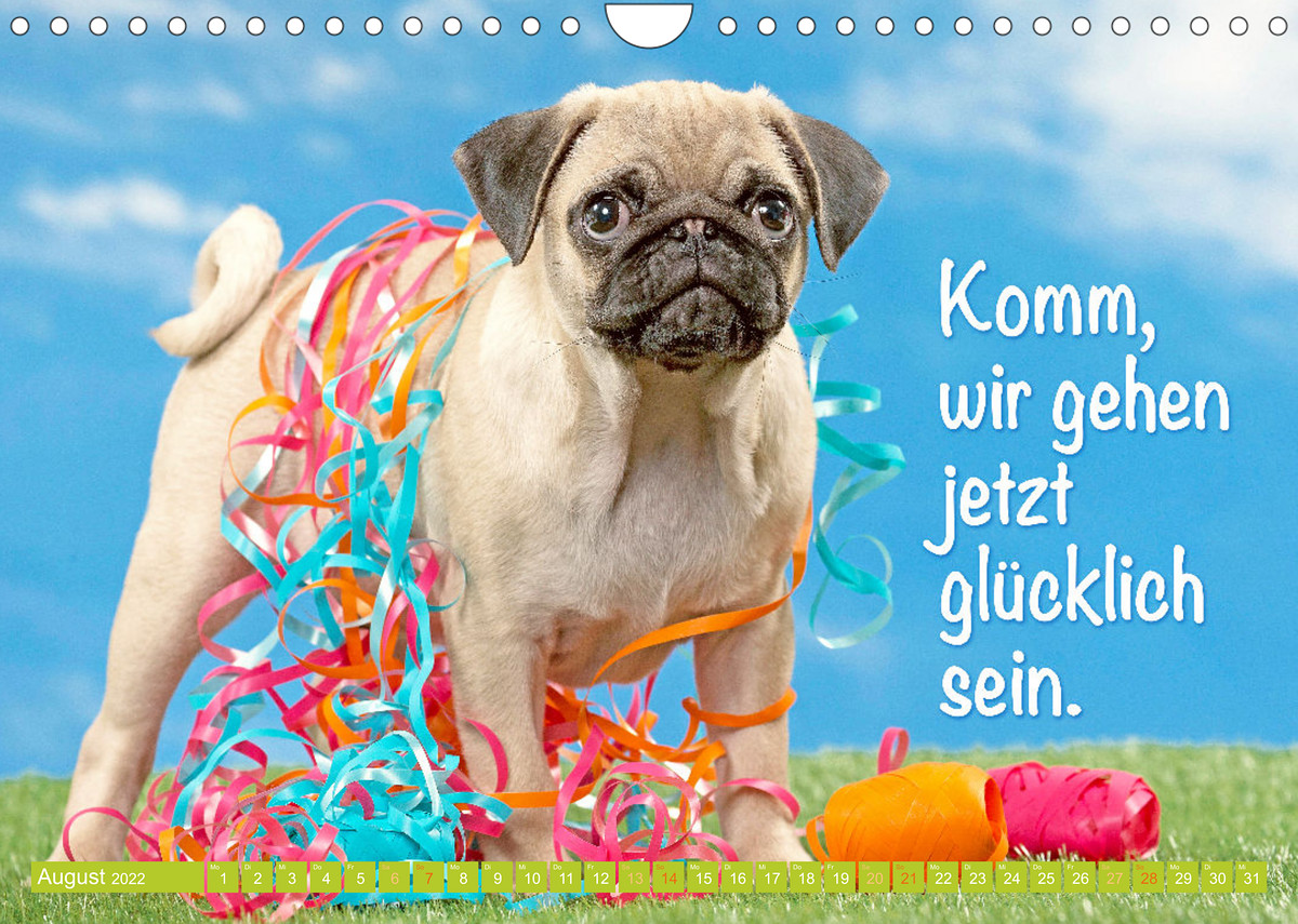 Der Mops Nicht klein, sondern aufs Wesentliche reduziert. Edition