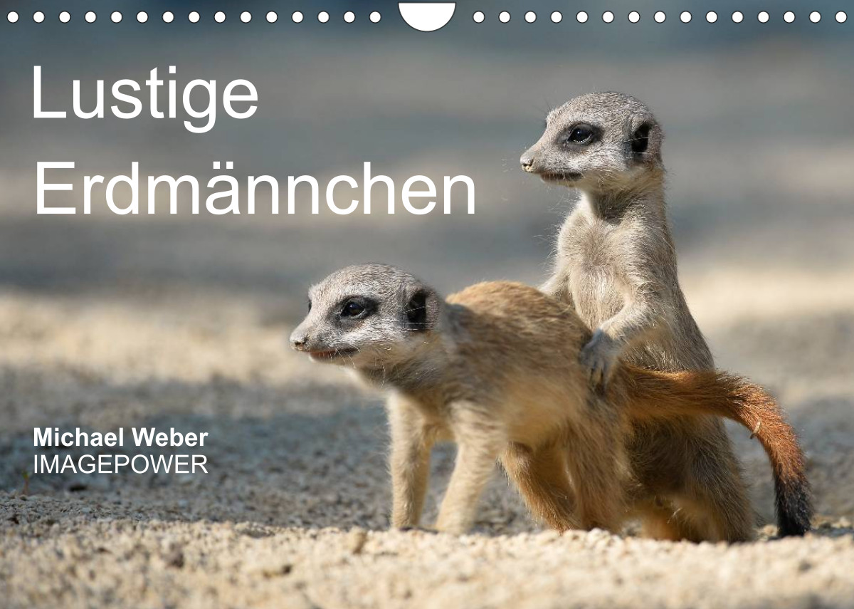 Lustige Erdmännchen CALVENDO