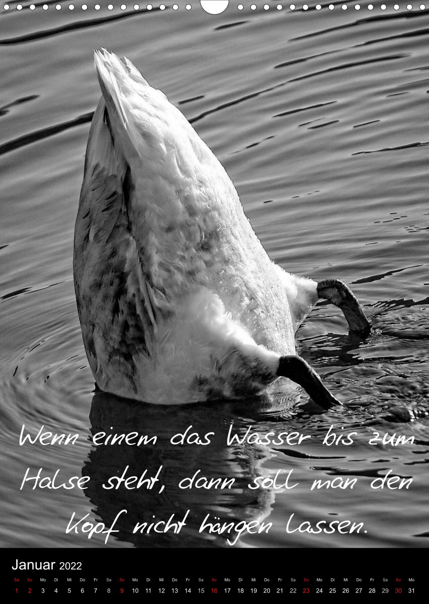 Kluge Sprüche in SchwarzWeiß CALVENDO