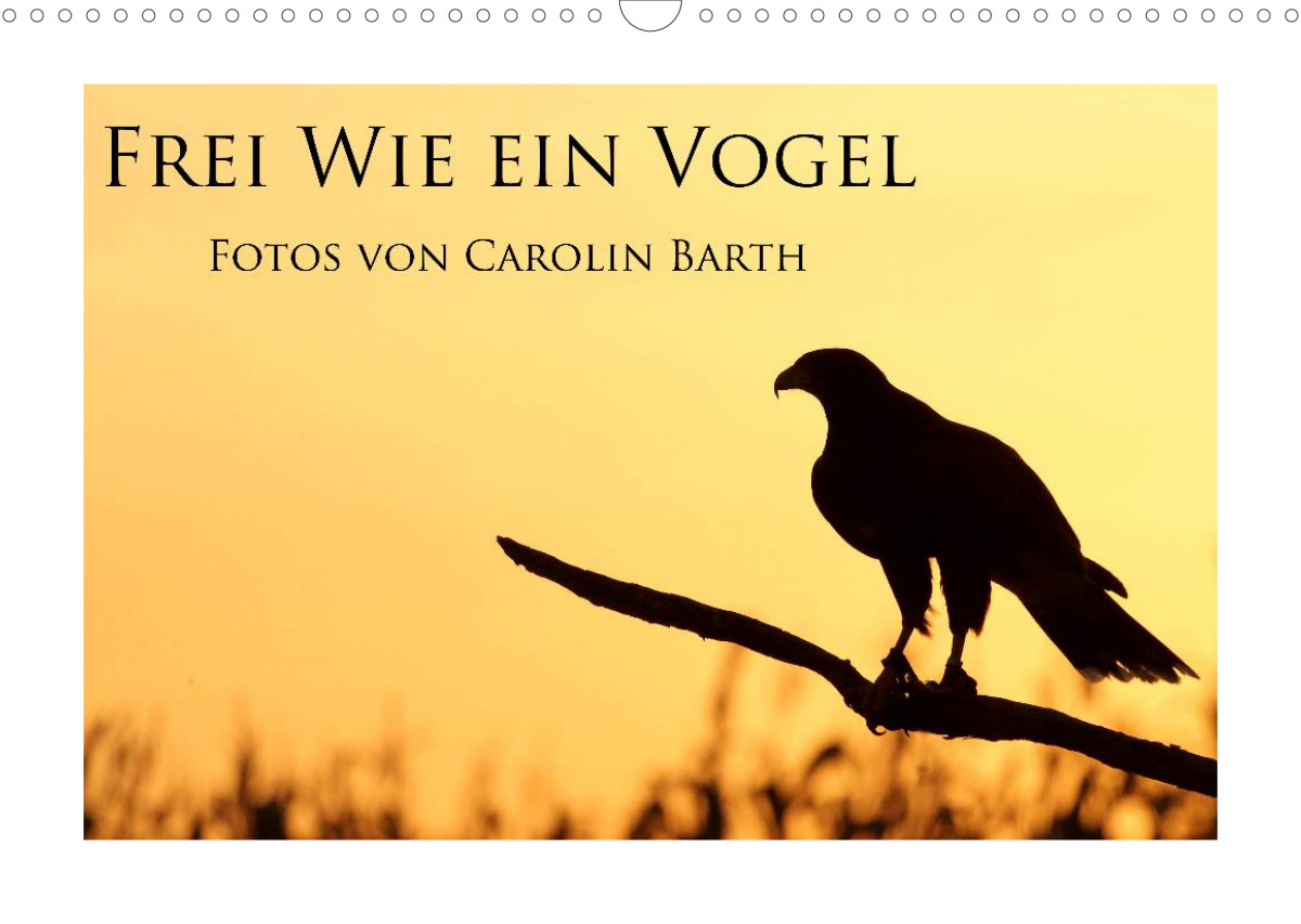 Frei wie ein Vogel CALVENDO