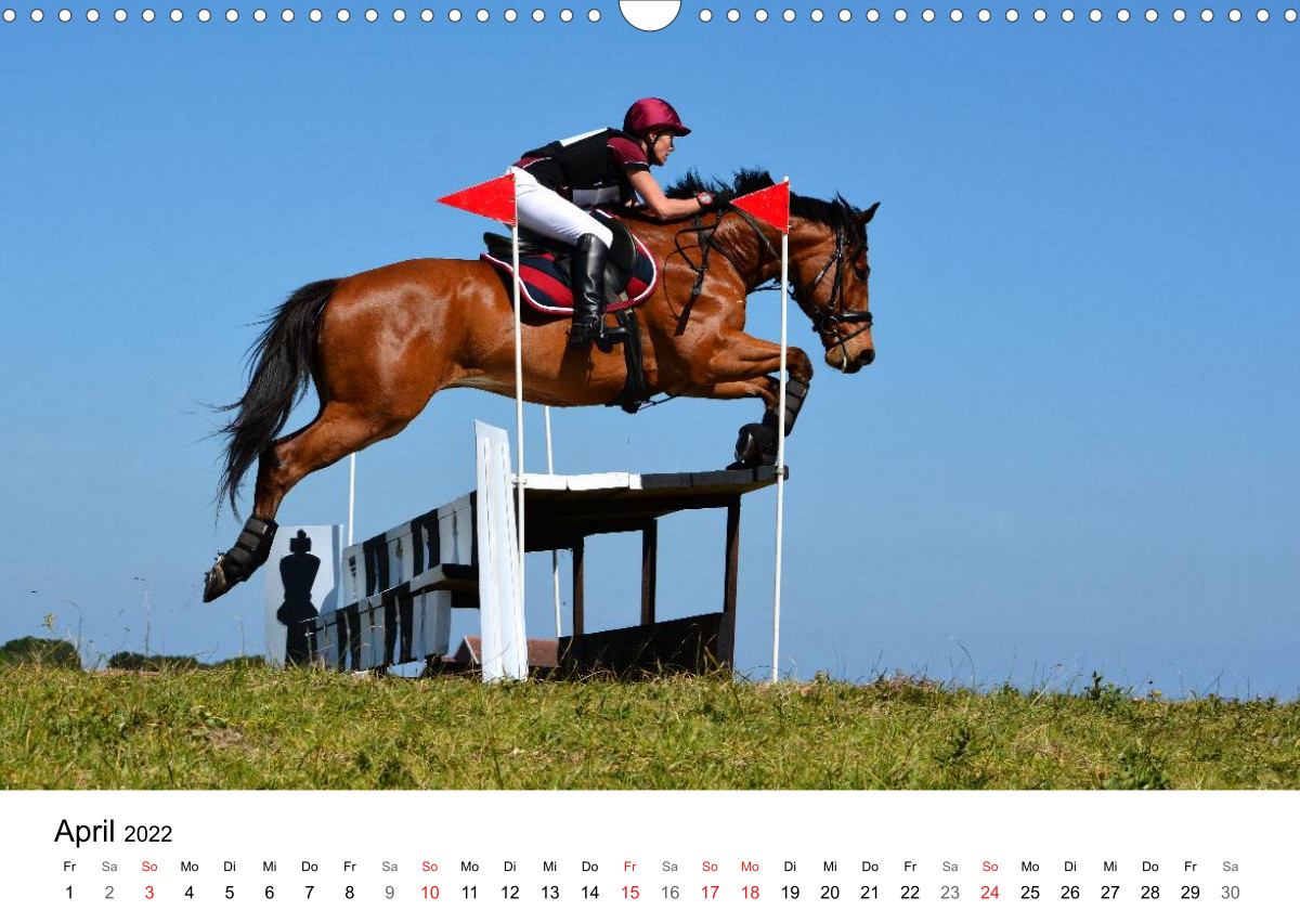 Vielseitigkeitsreiten CALVENDO