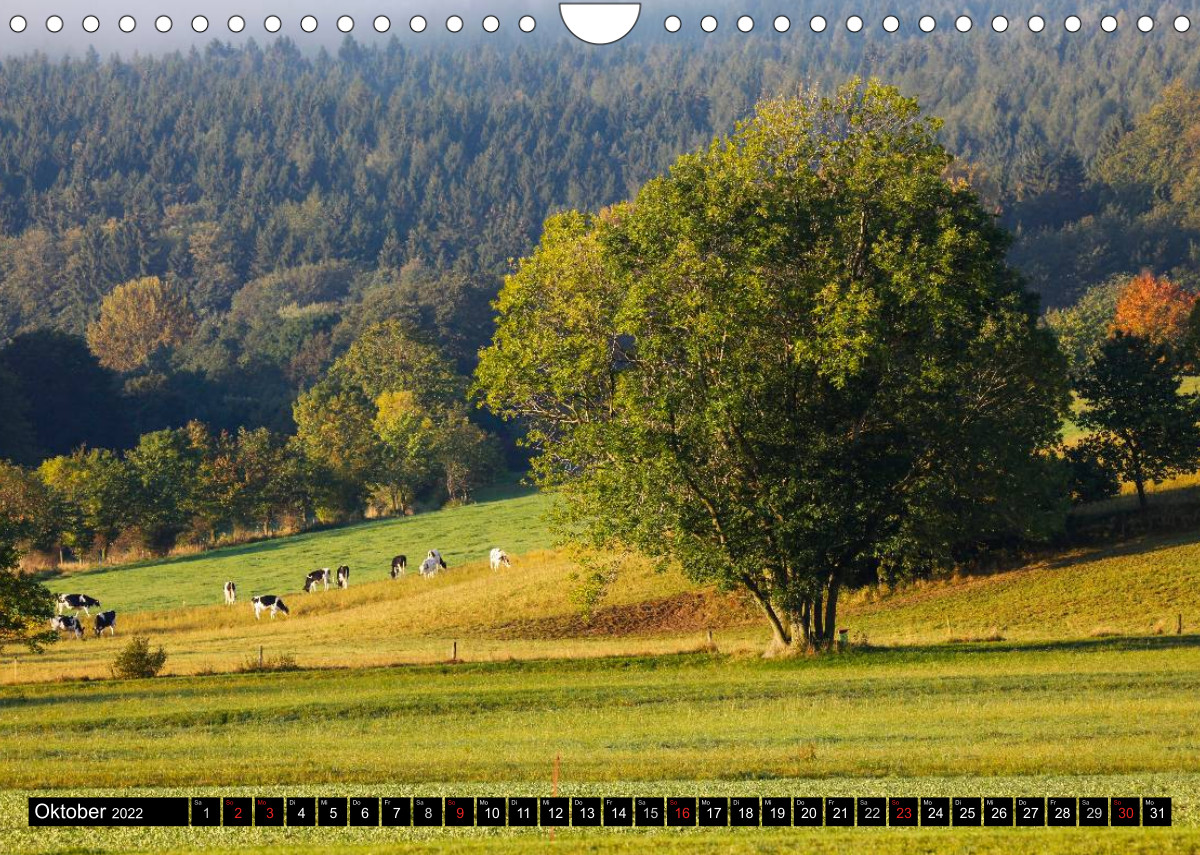 Schöne Landschaften der Oberlausitz - CALVENDO