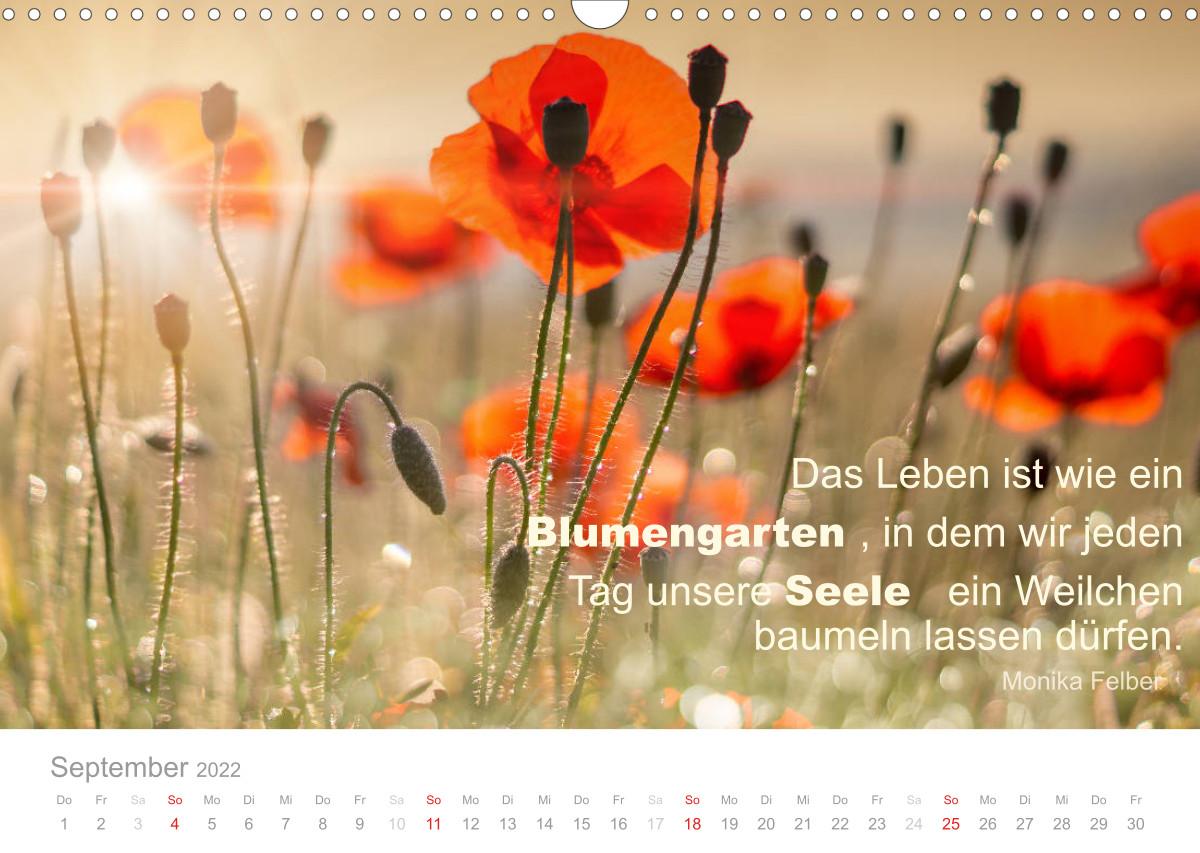 Zauberhafte Sprüche Bunte Seelenblüten CALVENDO