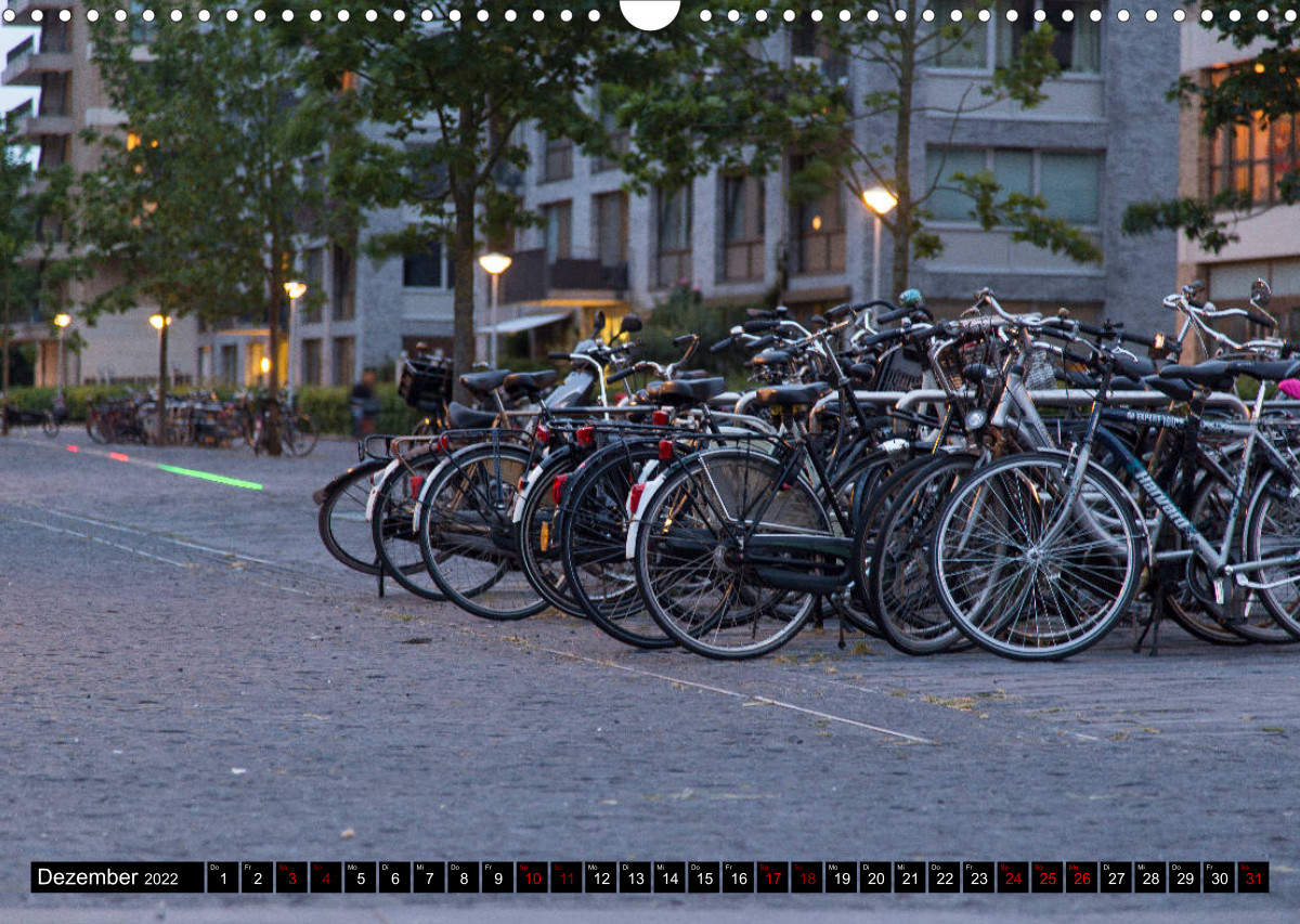 Nieuw Amsterdam per Fahrrad durch die neuen Distrikte