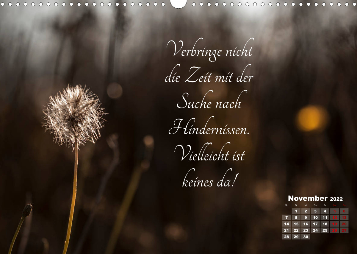 Chinesische Weisheiten CALVENDO