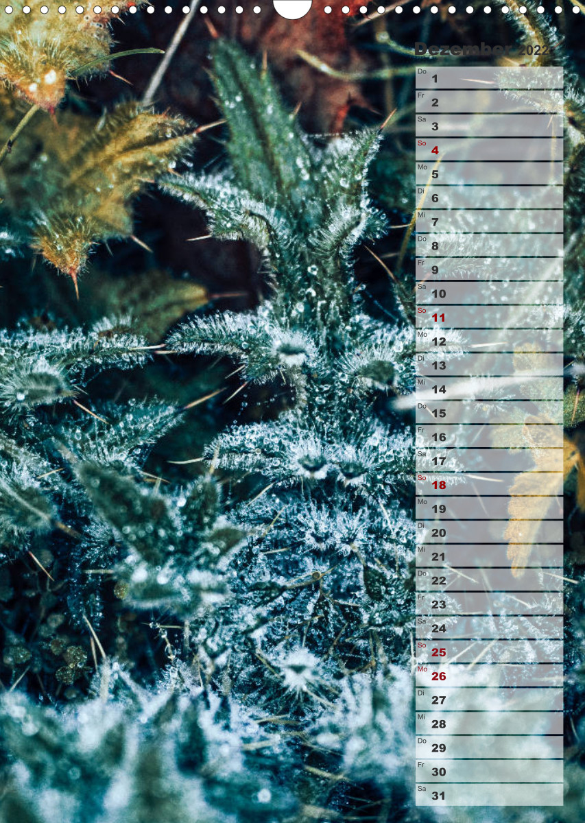 Kalender - Natur im Detail - CALVENDO