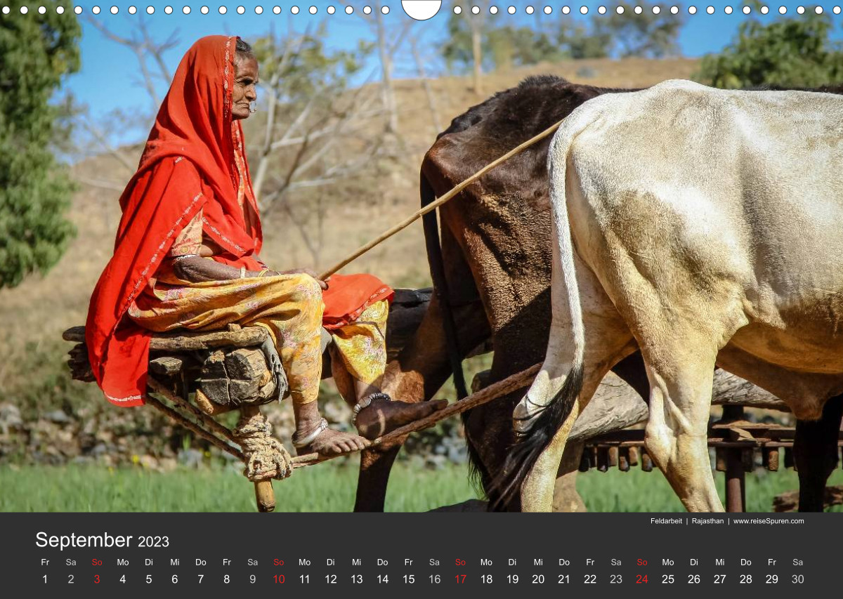 Calvendo Calendrier — Indien 2023 Tempel, Tiger und Paläste, Kalender 2023