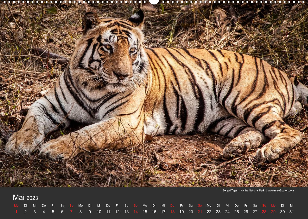 Calvendo Calendrier — Indien 2023 Tempel, Tiger und Paläste, Kalender 2023