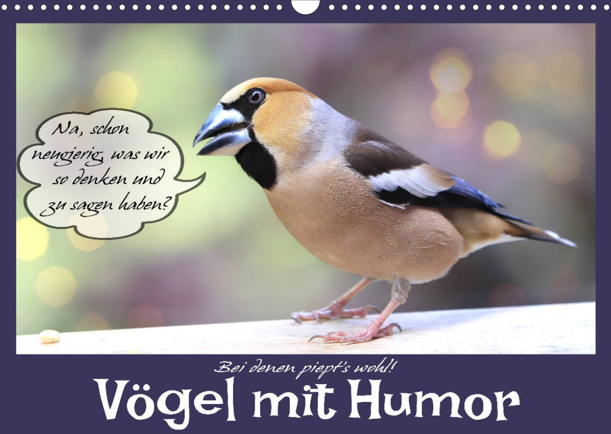 Lustige Sprüche aus frechen Schnäbeln