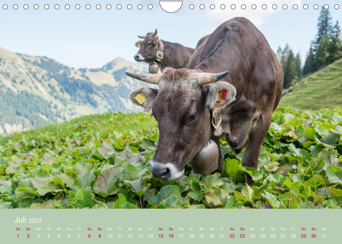 Kalender Verlag Calvendo 