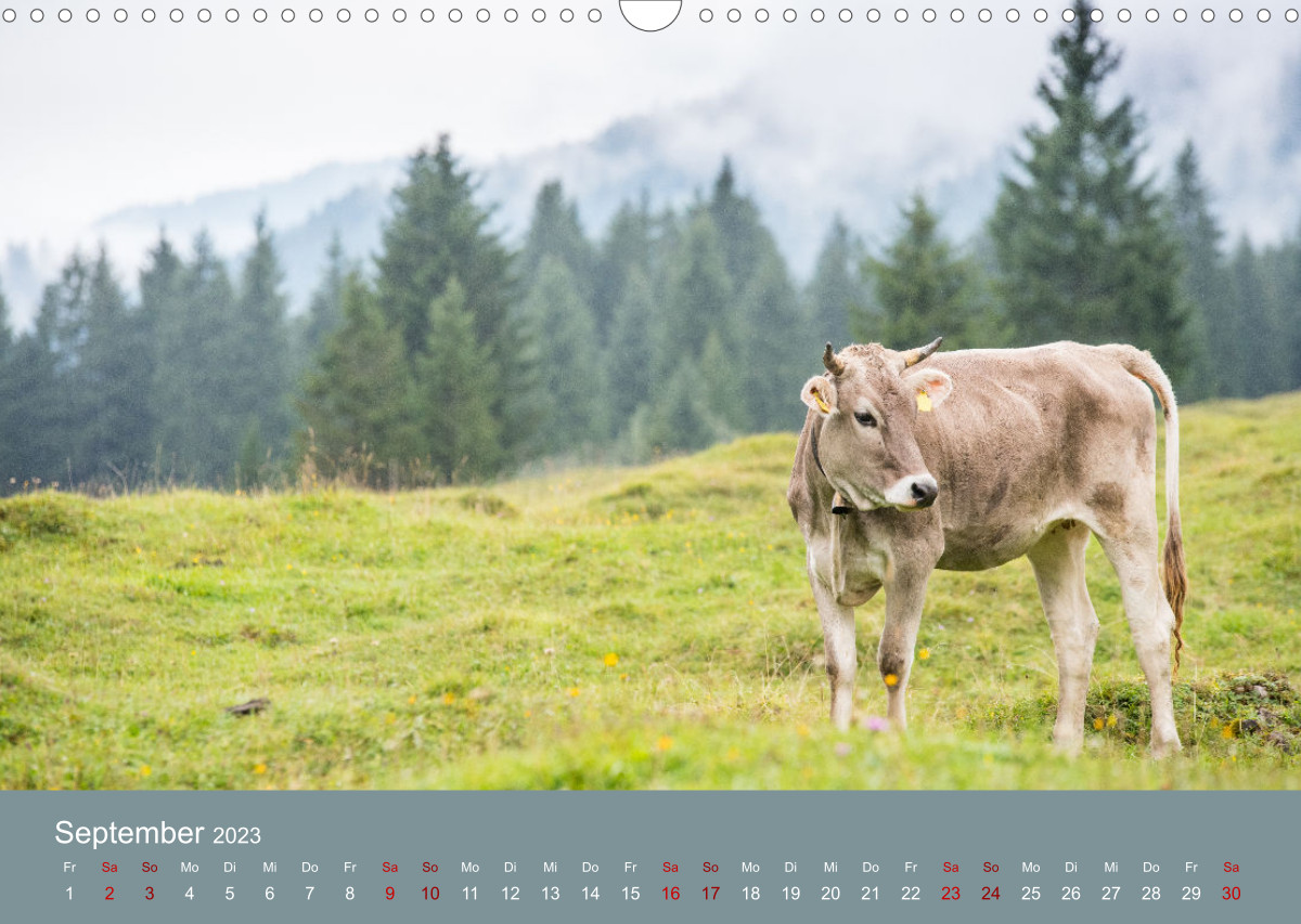 Kalender Verlag Calvendo 