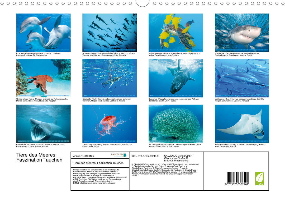Faszination Tauchen Tiere des Meeres Wandkalender 2022 DIN A3 quer 